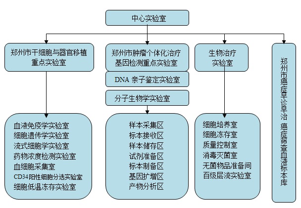 中心实验室.jpg