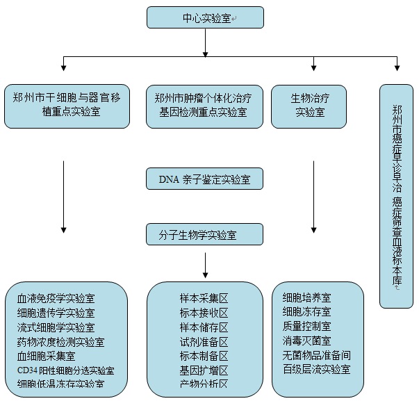 干细胞中心实验室.jpg